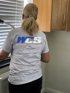 Person cleaning blinds with hoover